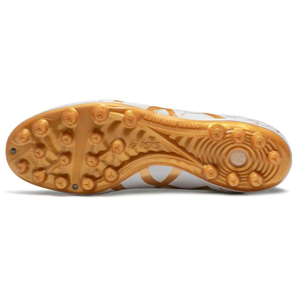 Asics DS LIGHT AG（ ）