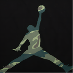 Jordan Jumpman Air LOGO T
