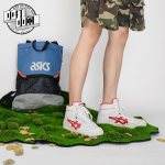 Asics All Court Alpha-l