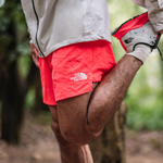 THE NORTH FACE Logo