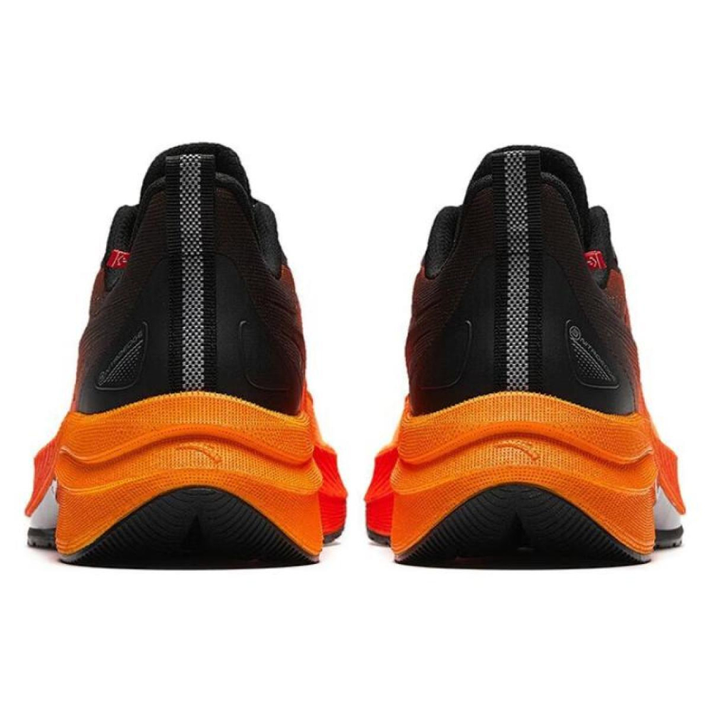 Anta 5.0