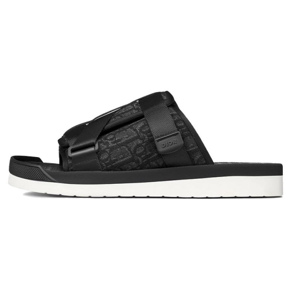 DIOR Alpha