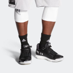 Adidas Harden Vol.3 Wanted