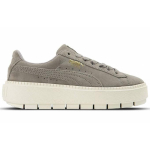 PUMA Platform Trace