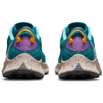 Nike Pegasus Trail 3