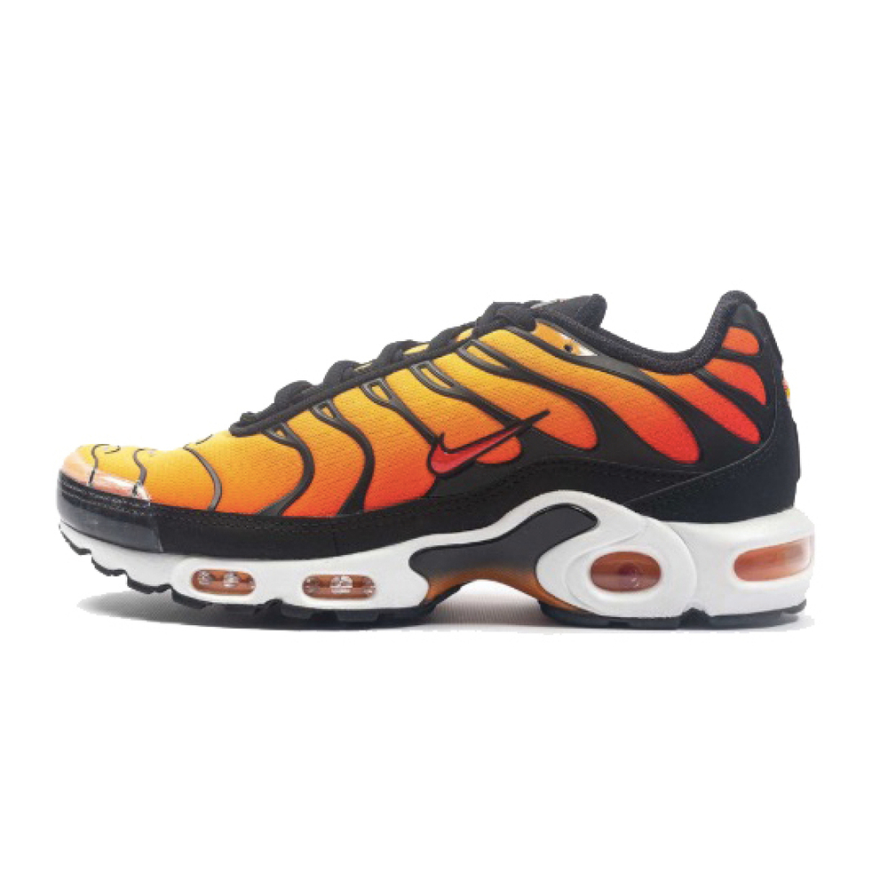 Nike Air Max Plus