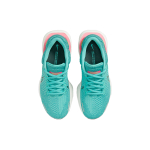 Nike Invincible Run 2 flyknit