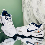 【 】 Nike Air Monarch 4
