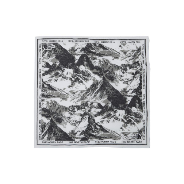 THE NORTH FACE