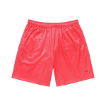 Supreme SS23 Week14 SMALL BOX BAGGY MESH SHORT logo