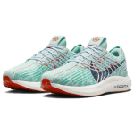 Nike Pegasus turbo 1 ZoomX