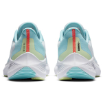 Nike Zoom Winflo 7