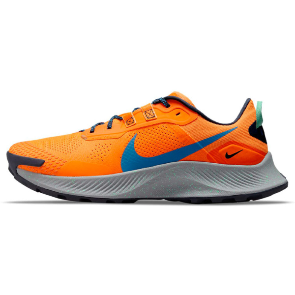 Nike Pegasus Trail 3