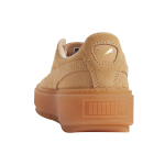 PUMA Platform Trace