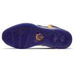 Nike Lebron 8 QS "Hardwood Classics" 8 TPU