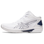 Asics Gel-Hoop V15