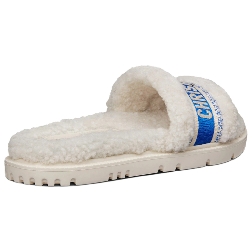 DIOR Dway