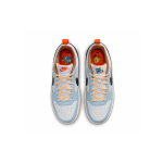 Nike Court Borough Low 2