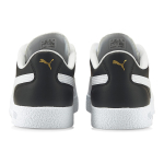 PUMA Zone