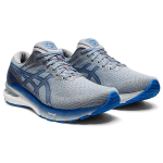 Asics GT-2000 10