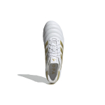 Adidas COPA MUNDIAL FG（ ）