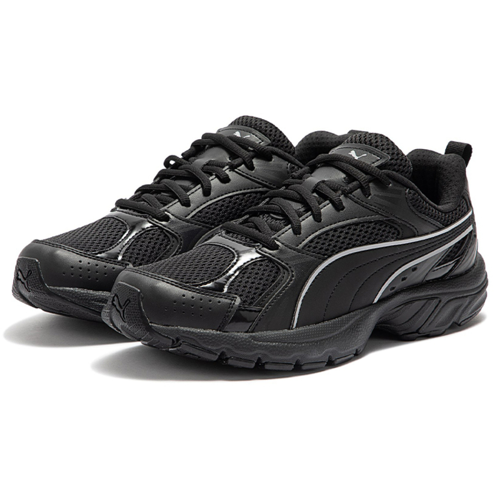 PUMA Milenio