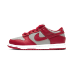 Nike Dunk Medium Grey
