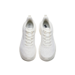 Anta