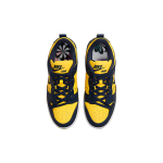 Nike Dunk Disrupt 2