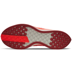 Nike Pegasus turbo 2
