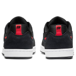 Nike SB Alleyoop