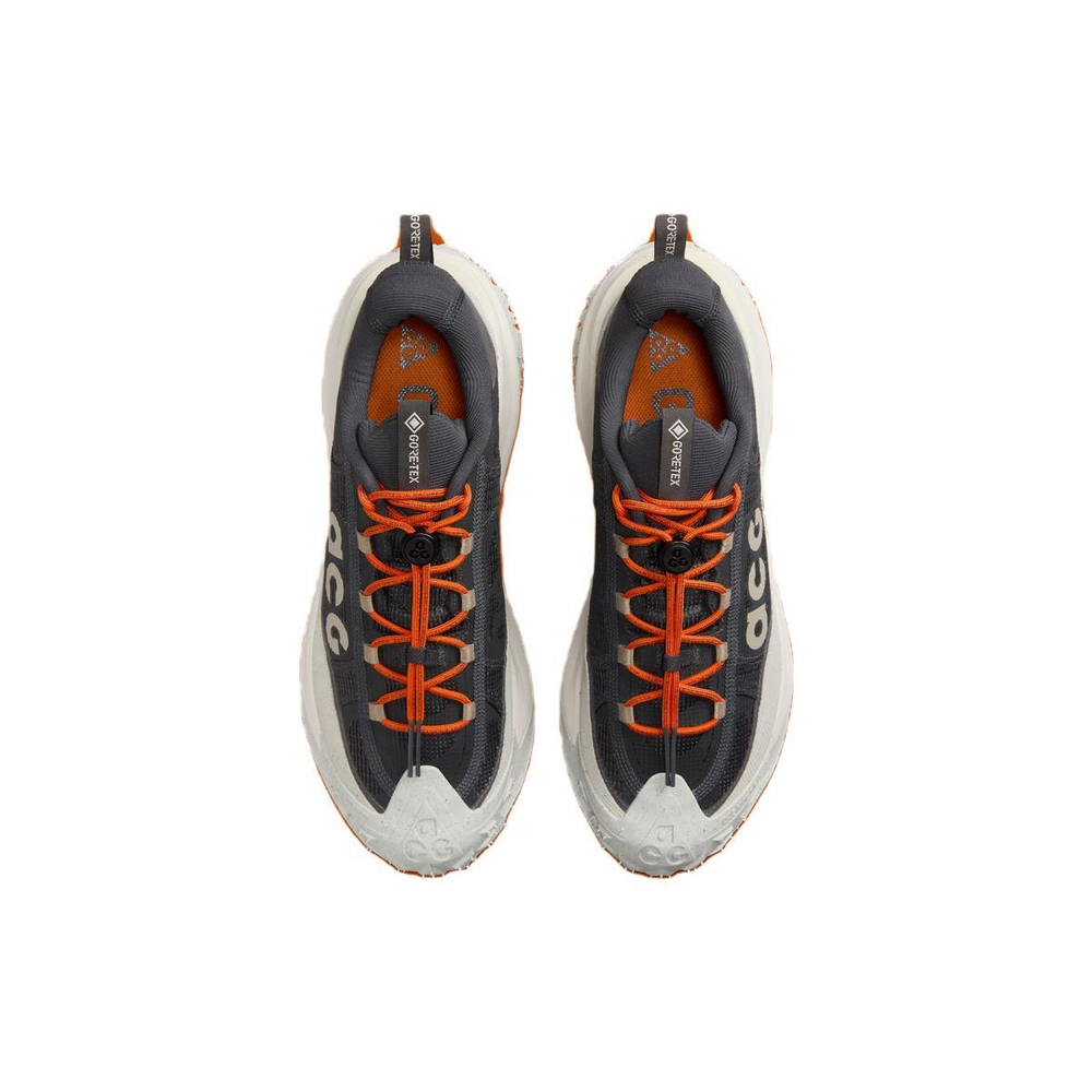 Nike ACG Mountain Fly 2 Low Gore-Tex