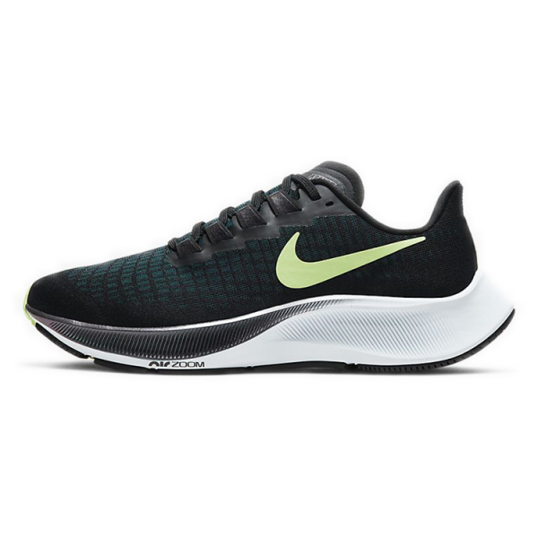 Nike Pegasus 37 Zoom 37