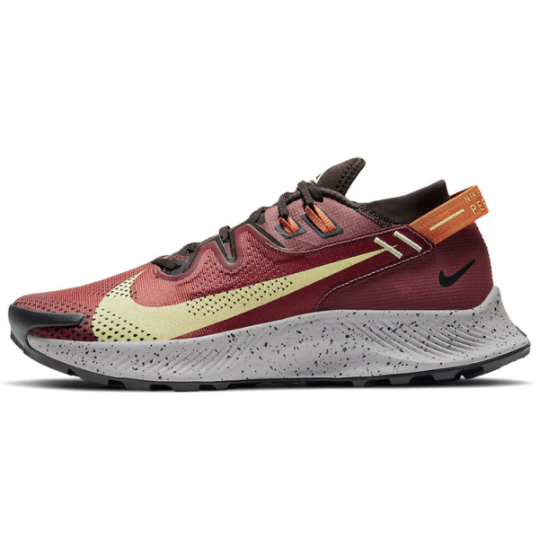 Nike Pegasus Trail 2