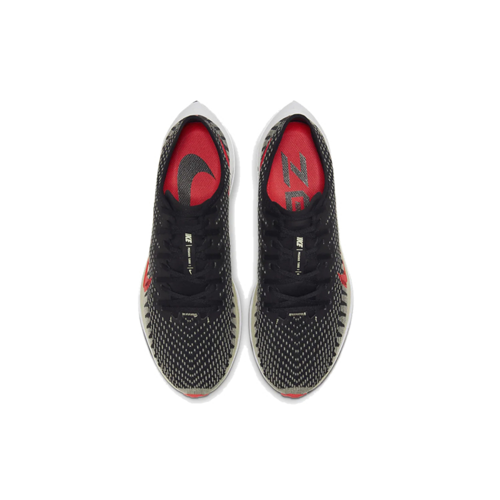 Nike Pegasus turbo 2