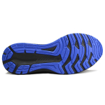 Asics GT-2000 10