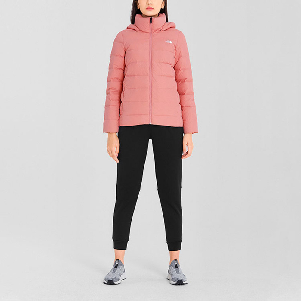 THE NORTH FACE Logo 550