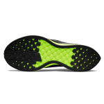 Nike Pegasus Turbo Shield Zoom