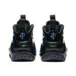 Nike Foamposite One black aurora