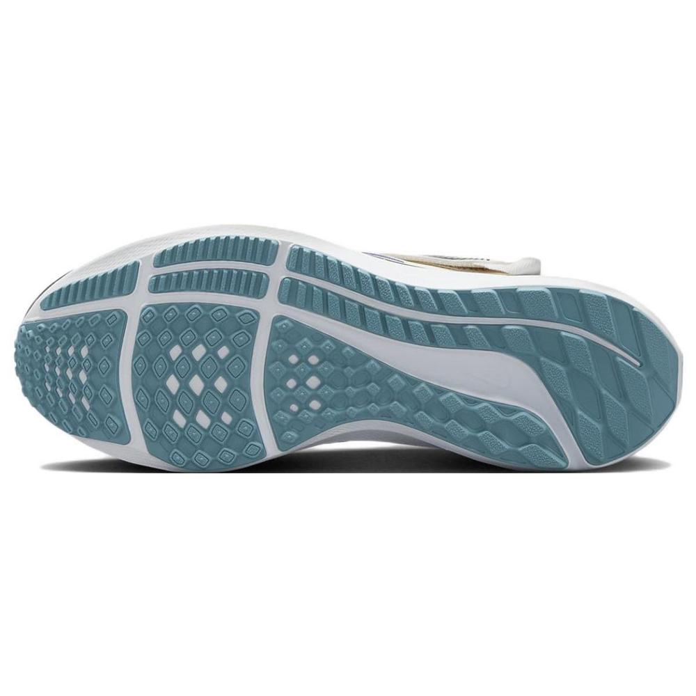 Nike Pegasus FlyEase Air Zoom