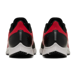 Nike Pegasus 36 Sheld Air Zoom