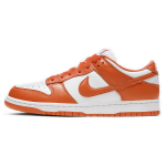 Nike Dunk "Syracuse"
