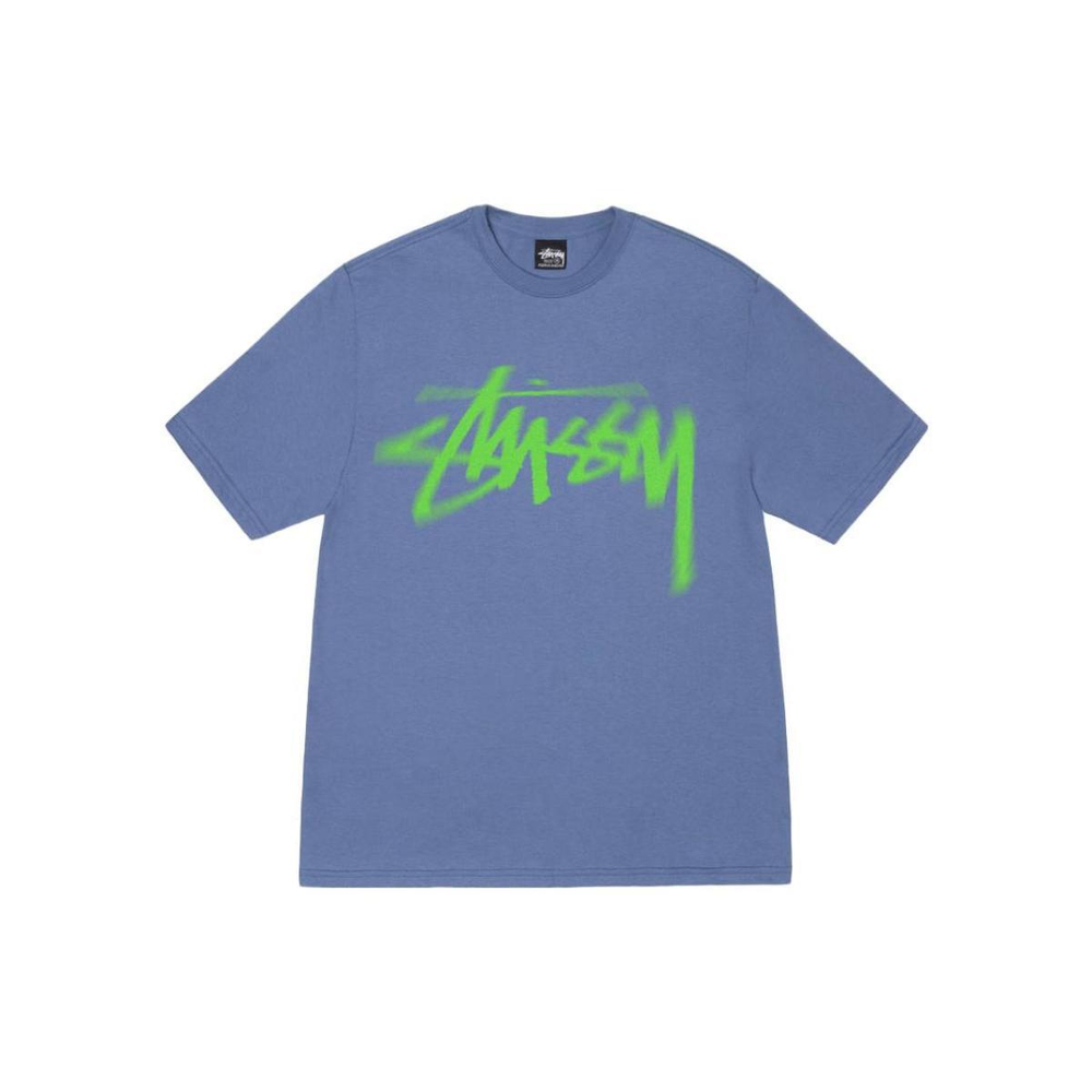 Stussy FW23 DIZZY STOCK TEE T