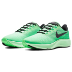 Nike Pegasus 37