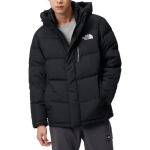 /THE NORTH FACE FW23 ACT FREE Logo
