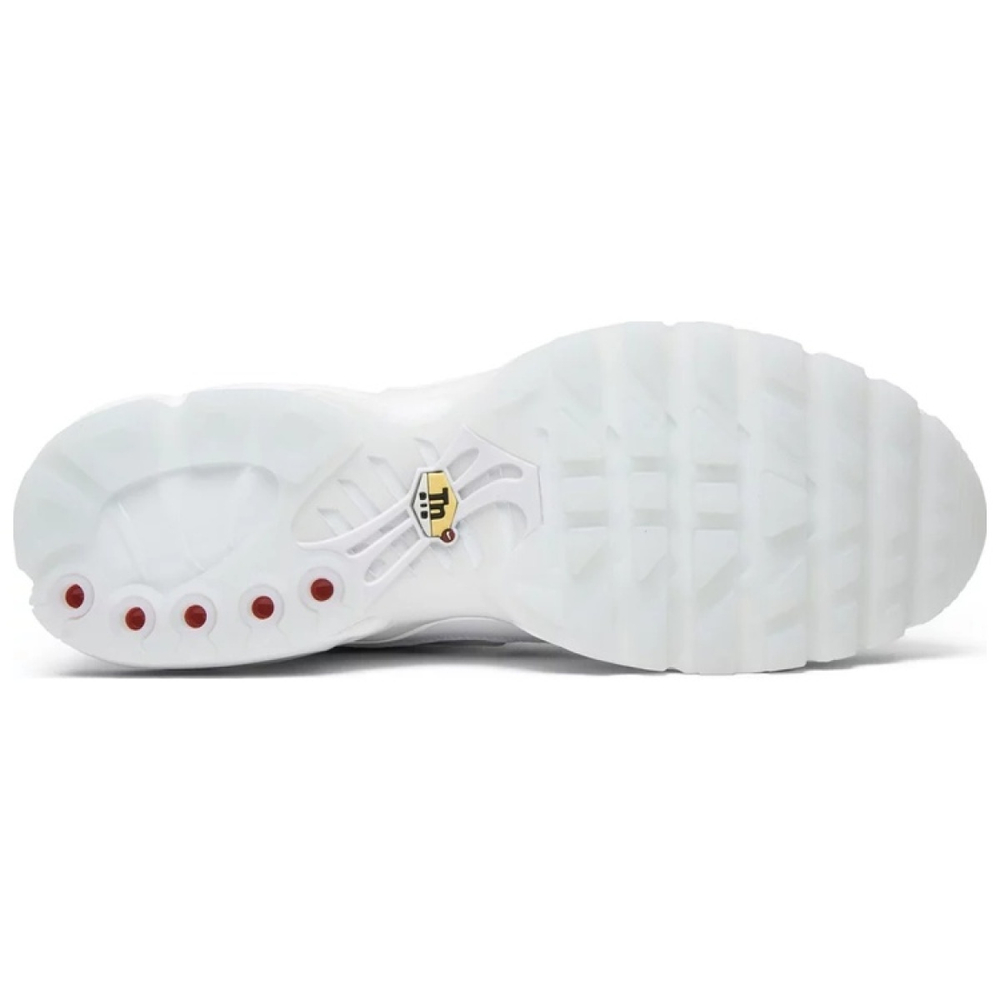 Nike Air Max Plus NIC