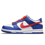 【 】 Nike Dunk FZBB GS