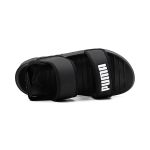 Puma Summer Cat