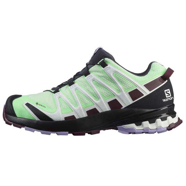 SALOMON XA Pro 3D V8 Gtx