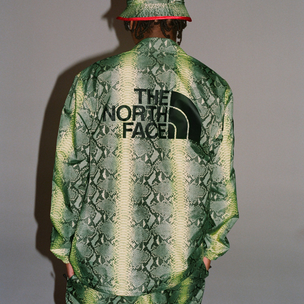Supreme x /THE NORTH FACE SS18TNF